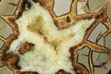 Polished Septarian Slab With Crystals - Utah #119691-1